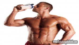 Whey protein và tác dụng tăng cơ giảm mỡ